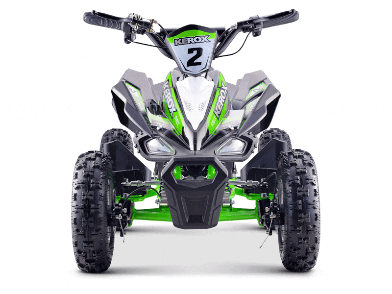 Quad E-rex 800W BW6 Vert